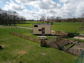 Overnachten in Tiny House in hartje Limburg